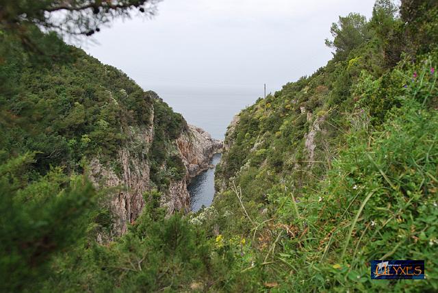 cala del lupinaro.JPG